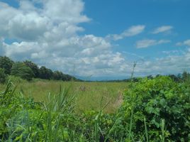  Land for sale in Naranjito, Guayas, Naranjito, Naranjito