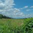  Land for sale in Naranjito, Guayas, Naranjito, Naranjito