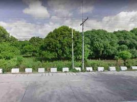  Land for sale in Tarlac, Central Luzon, San Manuel, Tarlac