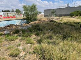  Land for sale in Jesus Maria, Aguascalientes, Jesus Maria