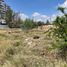  Land for sale in Jesus Maria, Aguascalientes, Jesus Maria
