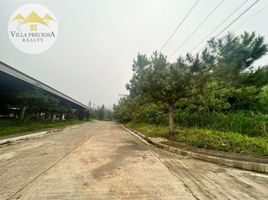  Land for sale in Tuba, Benguet, Tuba