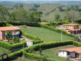  Land for sale in Caldas, Neira, Caldas