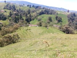 Villa à vendre à Bello, Antioquia, Bello