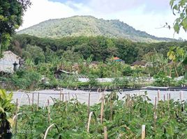  Terrain for sale in Bali Botanic Garden, Baturiti, Baturiti