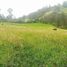  Land for sale in Cotogchoa, Pichincha, Cotogchoa, Ruminahui