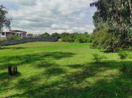  Land for sale in Alangasi, Quito, Alangasi