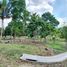  Land for sale in Alfonso, Calabarzon, Alfonso