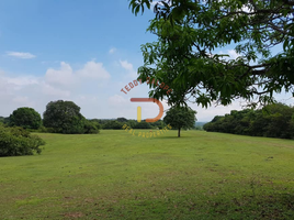  Land for sale in Pangasinan, Ilocos, Manaoag, Pangasinan