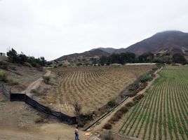  Grundstück zu verkaufen in Lurin, Lima, Lurin, Lima, Lima