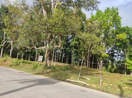  Land for sale in Tagbilaran City, Bohol, Tagbilaran City