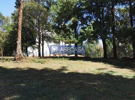  Land for sale in Piedecuesta, Santander, Piedecuesta