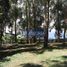  Land for sale in Piedecuesta, Santander, Piedecuesta