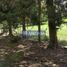  Land for sale in Piedecuesta, Santander, Piedecuesta