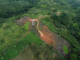  Terreno (Parcela) en venta en Tulua, Valle Del Cauca, Tulua