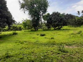  Land for sale in Compostela, Cebu, Compostela