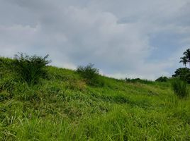  Land for sale in Cavite, Calabarzon, Tagaytay City, Cavite