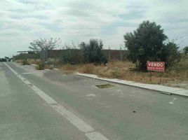 Terrain à vendre à Castilla, Piura, Castilla, Piura, Piura, Pérou