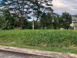  Land for sale at Avida Parkway Settings Nuvali, Calamba City