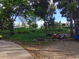  Grundstück zu verkaufen in Negros Occidental, Negros Island Region, Murcia