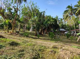  Land for sale in Cavite, Calabarzon, General Emilio Aguinaldo, Cavite