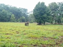  Land for sale in Pati, Jawa Tengah, Cluwak, Pati