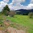  Land for sale in Chapa De Mota, Mexico, Chapa De Mota