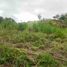  Land for sale in Marinilla, Antioquia, Marinilla