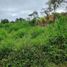  Land for sale in Marinilla, Antioquia, Marinilla