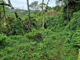  Terreno (Parcela) en venta en Marinilla, Antioquia, Marinilla