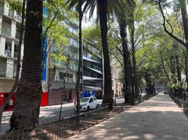 2 Schlafzimmer Appartement zu verkaufen in Miguel Hidalgo, Mexico City, Miguel Hidalgo, Mexico City