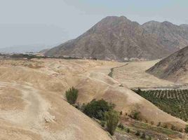  Terreno (Parcela) en venta en Aucallama, Huaral, Aucallama