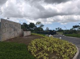  Terreno (Parcela) en venta en Calamba City, Calabarzon, Calamba City, Laguna, Calabarzon, Filipinas