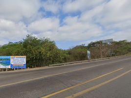  Terreno (Parcela) en venta en Compostela, Nayarit, Compostela, Nayarit