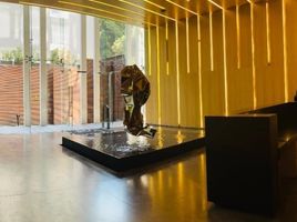 2 Schlafzimmer Appartement zu verkaufen in Miguel Hidalgo, Mexico City, Miguel Hidalgo