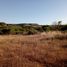  Terreno (Parcela) en venta en Cardenal Caro, Libertador General Bernardo O'Higgins, Litueche, Cardenal Caro