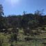  Terreno (Parcela) en venta en Melipilla, Santiago, Curacavi, Melipilla