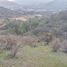  Terreno (Parcela) en venta en Melipilla, Santiago, Curacavi, Melipilla