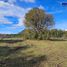  Terreno (Parcela) en venta en Cautín, Araucanía, Villarrica, Cautín