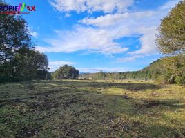 Terreno (Parcela) en venta en Cautín, Araucanía, Villarrica, Cautín