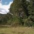  Terreno (Parcela) en venta en Valdivia, Los Ríos, Mariquina, Valdivia