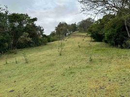  Terreno (Parcela) en venta en Valle Del Cauca, Tulua, Valle Del Cauca