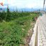  Land for sale in San Roque, Antonio Ante, San Roque