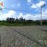  Land for sale in Antonio Ante, Imbabura, San Roque, Antonio Ante