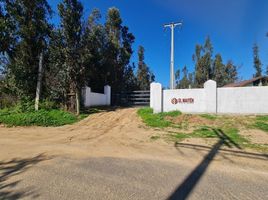 Terreno (Parcela) en venta en Melipilla, Santiago, Maria Pinto, Melipilla