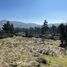  Terreno (Parcela) en venta en Melipilla, Santiago, Maria Pinto, Melipilla