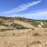  Terreno (Parcela) en venta en Chile, Lolol, Colchagua, Libertador General Bernardo O'Higgins, Chile