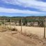  Terreno (Parcela) en venta en Chile, Lolol, Colchagua, Libertador General Bernardo O'Higgins, Chile