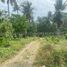  Land for sale in Puerto Princesa City, Mimaropa, Puerto Princesa City, Palawan, Mimaropa