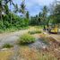  Land for sale in Puerto Princesa City, Mimaropa, Puerto Princesa City, Palawan, Mimaropa